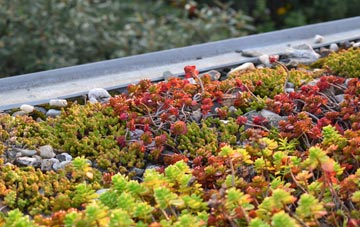 the cost of Moss Of Barmuckity green roof installation