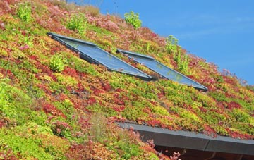 Moss Of Barmuckity living roof systems