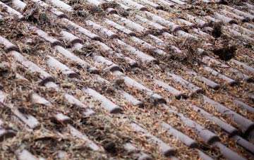 Moss Of Barmuckity roof cleaning companies